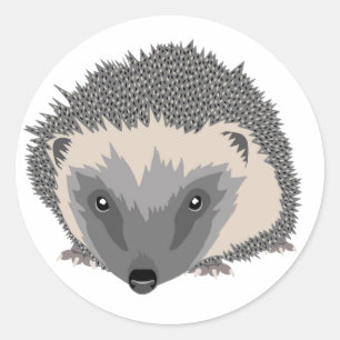 Hedgehog Sticker