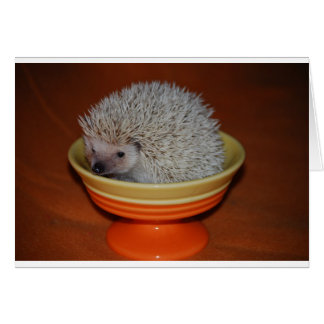Hedgehog Sundae