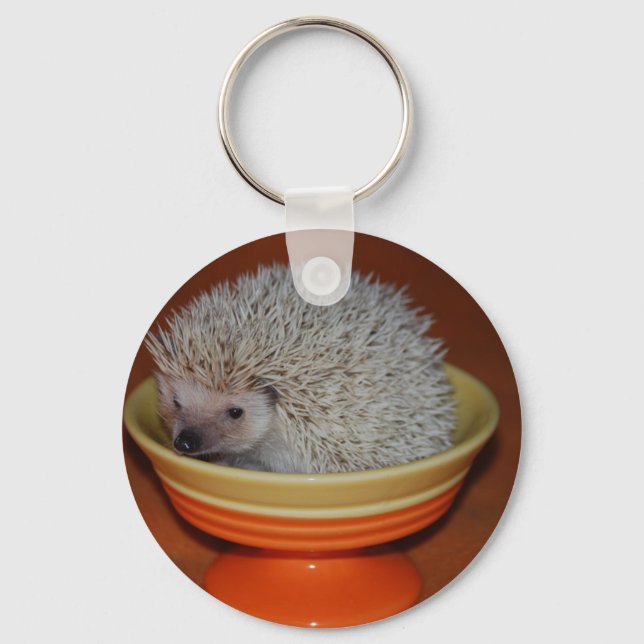 Hedgehog Sundae Keychain (Front)