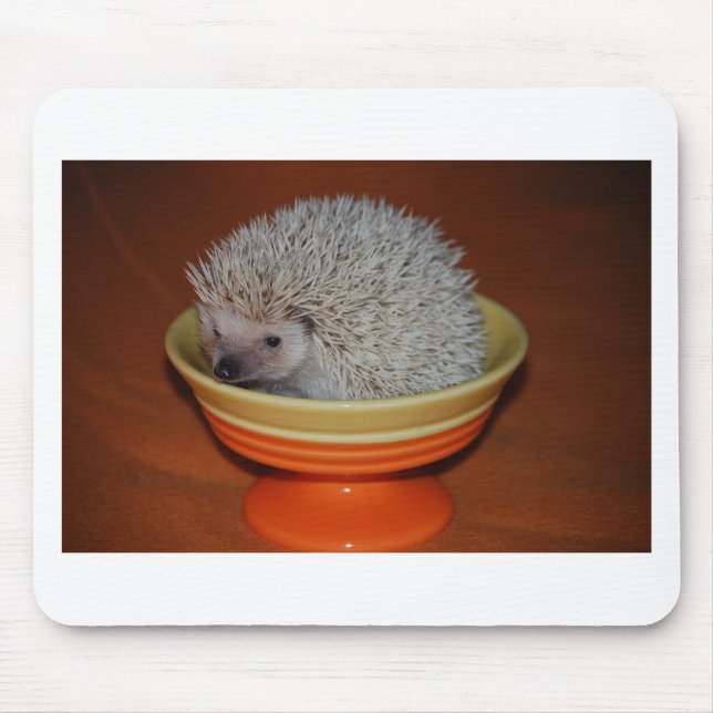 Hedgehog Sundae Mouse Pad (Front)