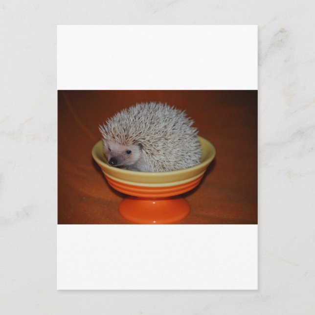 Hedgehog Sundae Postcard (Front)