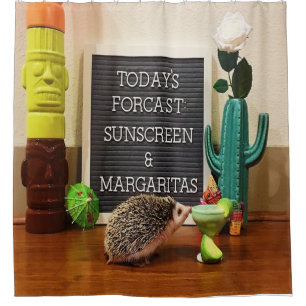 Hedgehog Sunscreen and Margaritas