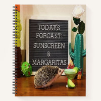 Hedgehog Sunscreen and Margaritas
