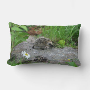 Hedgehog throw pillow