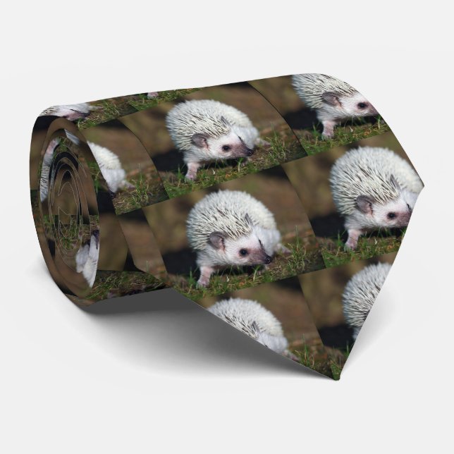 hedgehog tie (Rolled)