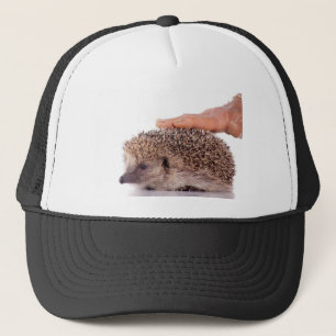 Hedgehog, Trucker Hat