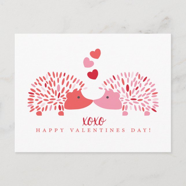 Hedgehog Valentine Postcard (Front)
