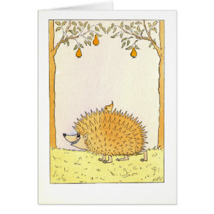 "Hedgehog - Vintage Illustration