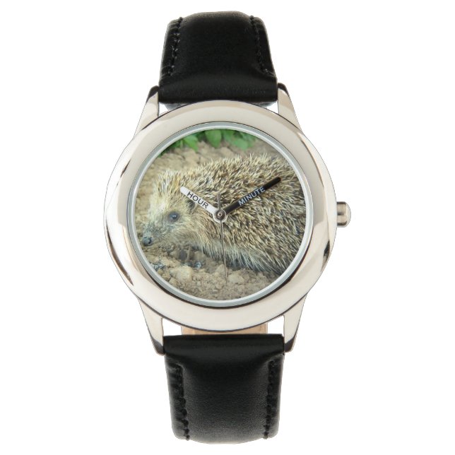 Hedgehog Watch (Front)