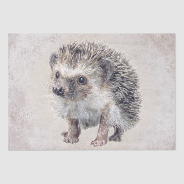 Hedgehog Watercolor Tissue Paper (Front)