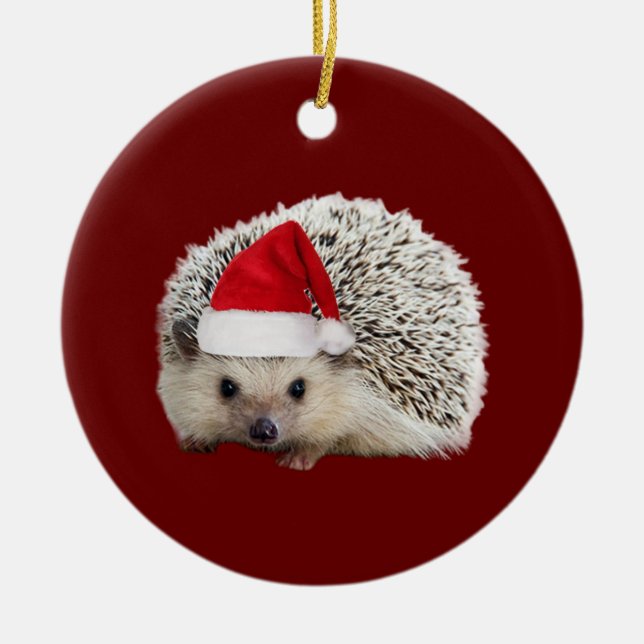 Hedgehog With Hat Lights Christmas Ceramic Ornament (Front)