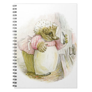 Hedgehog with Iron Mrs Tiggy-Winkle Notebook