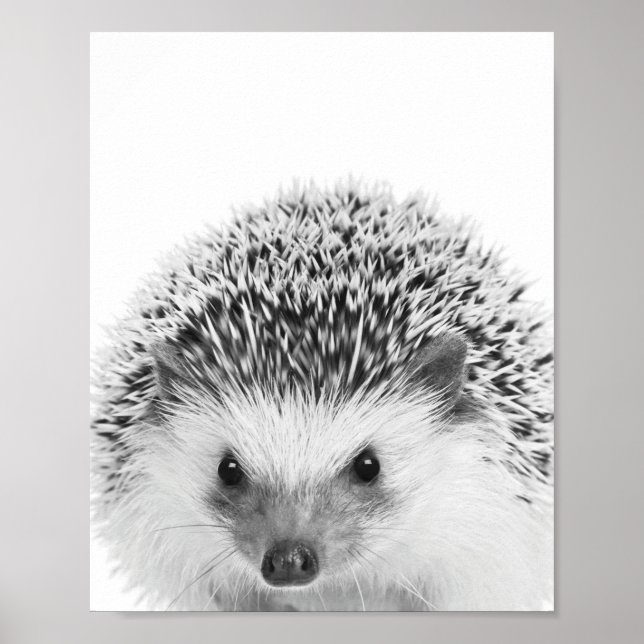 Hedgehog Woodland Kids Room Decor  (Front)