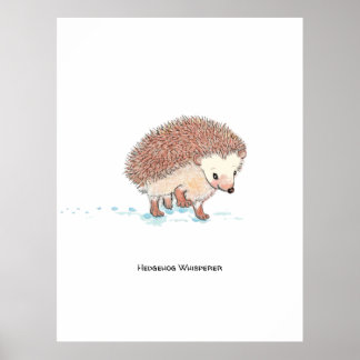 Hedgehog's Big Adventure  Poster