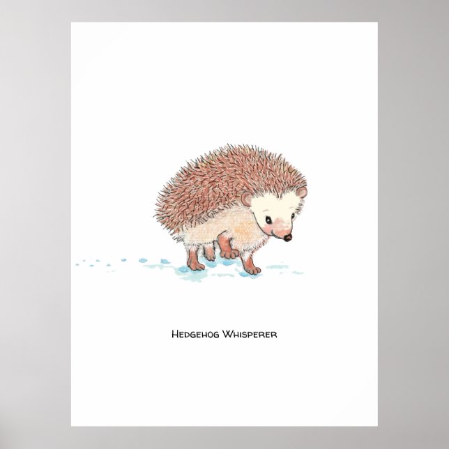 Hedgehog's Big Adventure  Poster (Front)