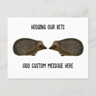 Hedgehogs getting married - Funny Hedgehog wedding Postcard