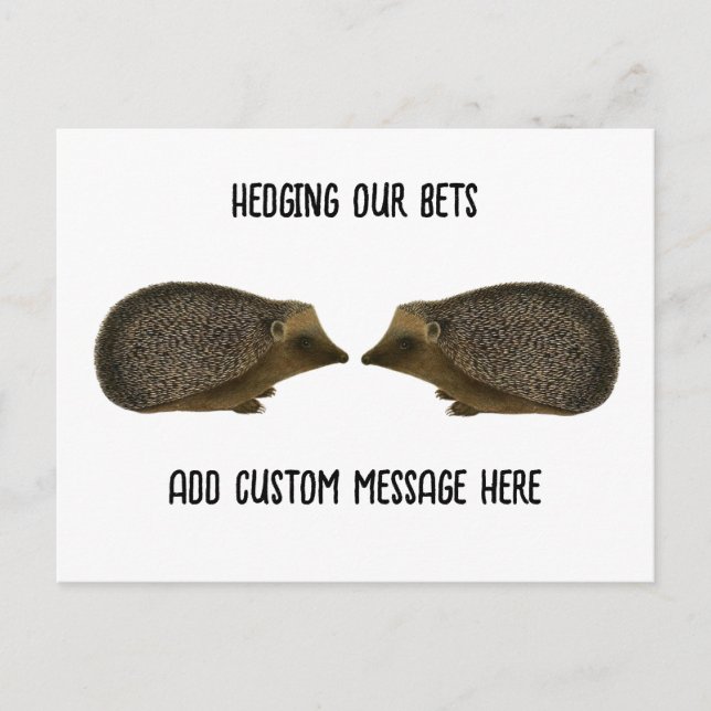 Hedgehogs getting married - Funny Hedgehog wedding Postcard (Front)