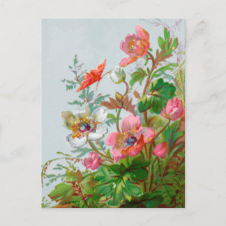 Hedgerow Garden Postcard