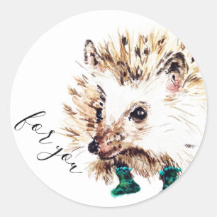 Hedgie in Socks  Classic Round Sticker