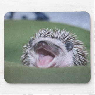 hedgy mouse pad