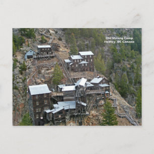 Hedley Mining Camp Postcard
