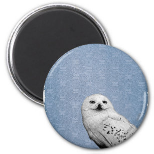 Hedwig 2 magnet