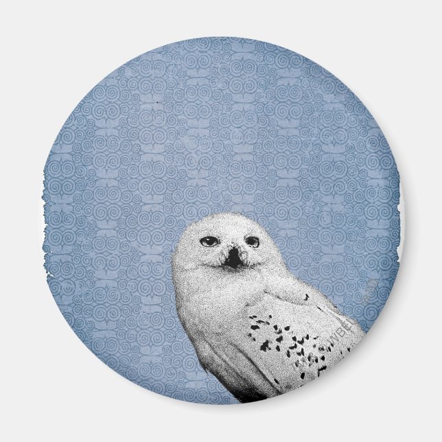 Hedwig 2 magnet (Front)