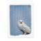 Hedwig 2