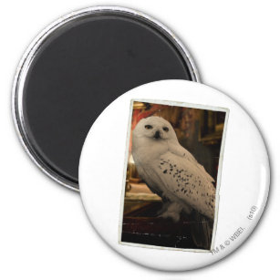 Hedwig 3 magnet