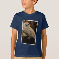 Hedwig 3