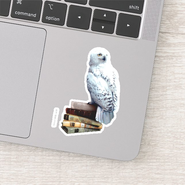 Hedwig on books (Detail)