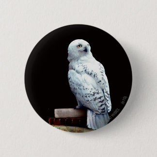 Hedwig on books 2 inch round button