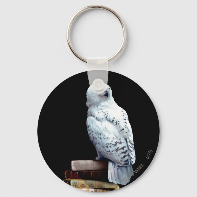 Hedwig on books keychain (Front)