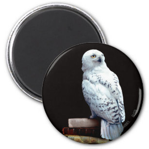 Hedwig on books magnet