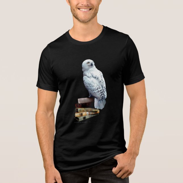 Hedwig on books Tri-Blend shirt (Front)