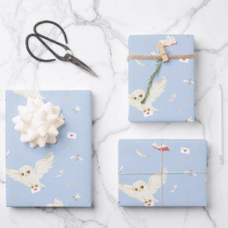 Hedwig Owl Post Letters and Books Pattern Wrapping Paper Sheet