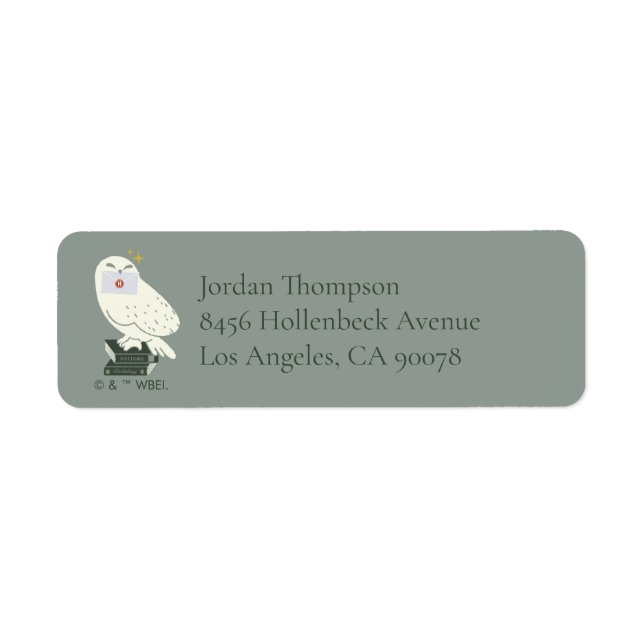 Hedwig With Letter Whimsical Drawing (Front)