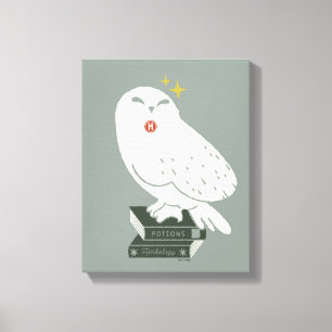Hedwig With Letter Whimsical Drawing Canvas Print