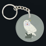 Hedwig With Letter Whimsical Drawing Keychain<br><div class="desc">Deliver a little magic with this charming Hedwig illustration inspired by the wizarding world. Perched atop a stack of spellbinding textbooks labeled Potions and Herbology, Hedwig proudly holds a sealed Hogwarts™ letter. The soft, minimalist style and muted tones give this design a cozy, storybook feel, while subtle sparkling accents add...</div>