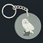 Hedwig With Letter Whimsical Drawing Keychain<br><div class="desc">Deliver a little magic with this charming Hedwig illustration inspired by the wizarding world. Perched atop a stack of spellbinding textbooks labeled Potions and Herbology, Hedwig proudly holds a sealed Hogwarts™ letter. The soft, minimalist style and muted tones give this design a cozy, storybook feel, while subtle sparkling accents add...</div>
