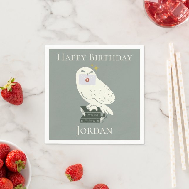 Hedwig With Letter Whimsical Drawing Napkin (Insitu)