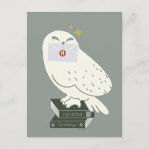 Hedwig With Letter Whimsical Drawing Postcard