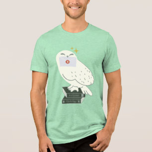 Hedwig With Letter Whimsical Drawing Tri-Blend Shirt