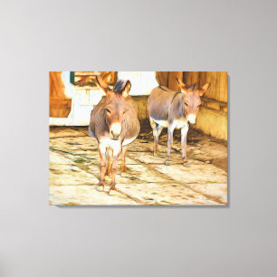 Hee Haw Donkeys Canvas Print