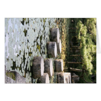 Heian Gardens Pond and Walk in Kyoto