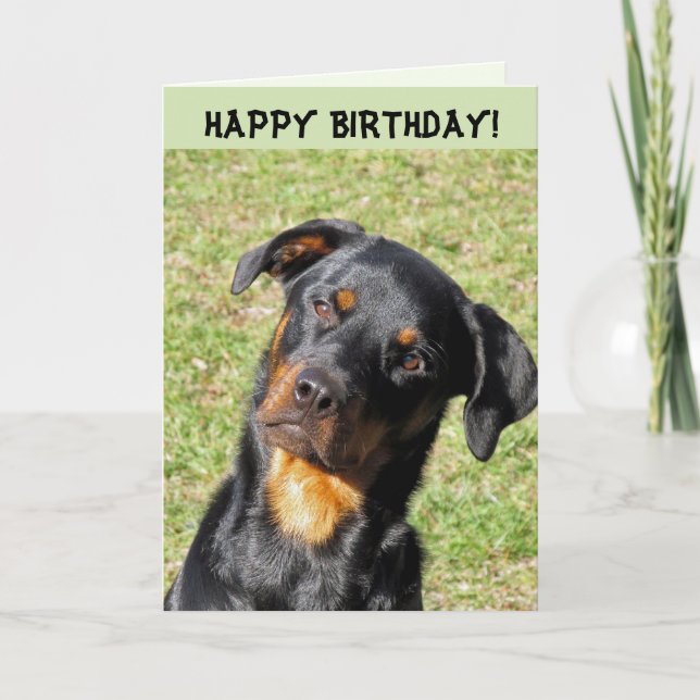 Heidi Bonne Carte Anniversaire (Devant)