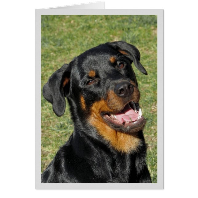 Heidi Cute Rottweiler Blank Greeting Card (Front)