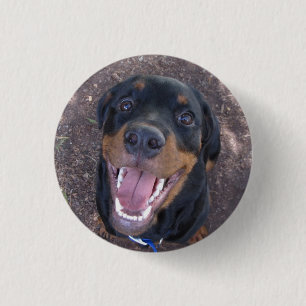 Heidi Happy Rottweiler Button