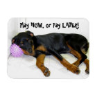 Heidi Play Now, or Pay Later Magnet