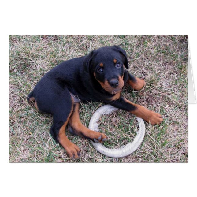 Heidi Rottweiler Compter La Carte Heures (Devant horizontal)
